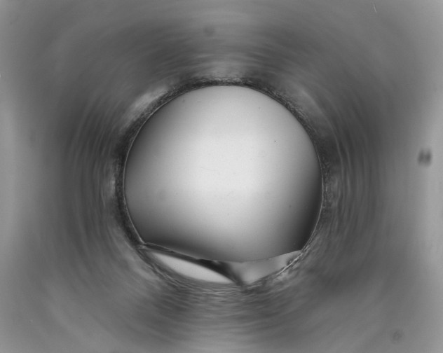 X0000089910120200707201804