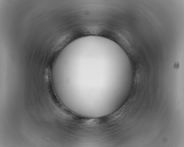 X0000089910122200707201804