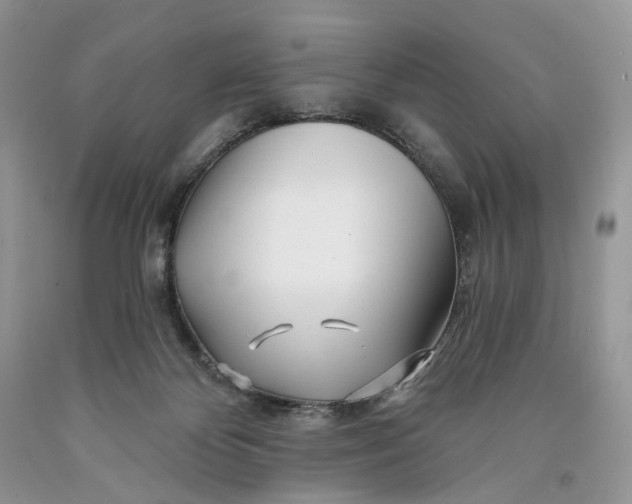 X0000089910124200707201804