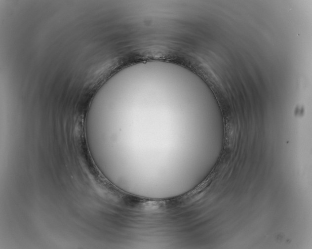 X0000089910126200707201804