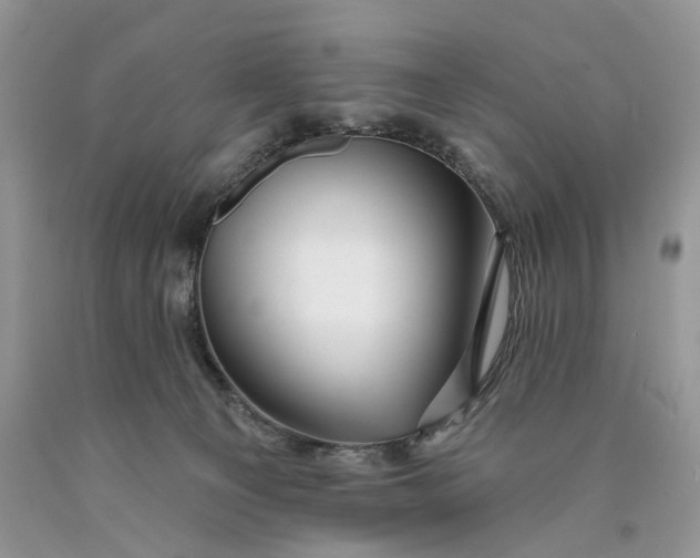 X0000089910129200707201804