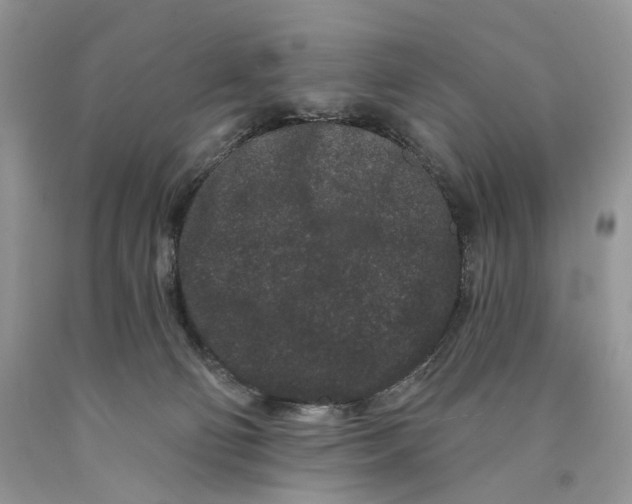 X0000089910130200707201804