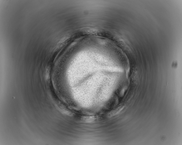 X0000089910131200707201804