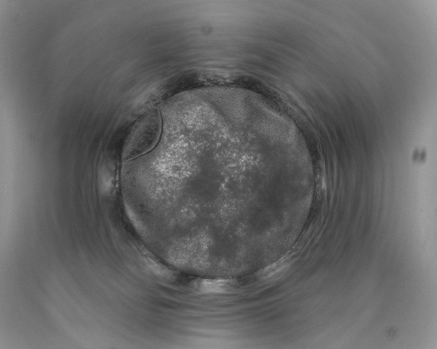 X0000089910134200707201804