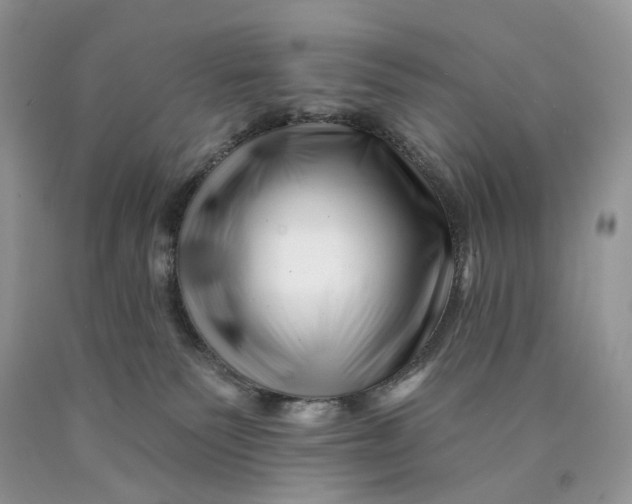 X0000089910135200707201804