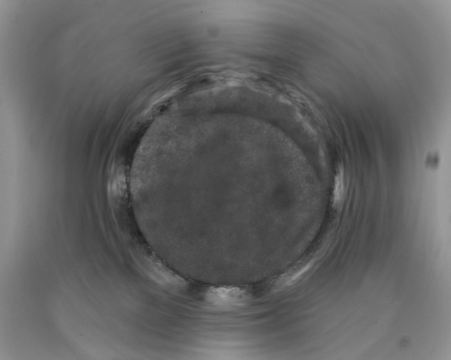 X0000089910137200707201804