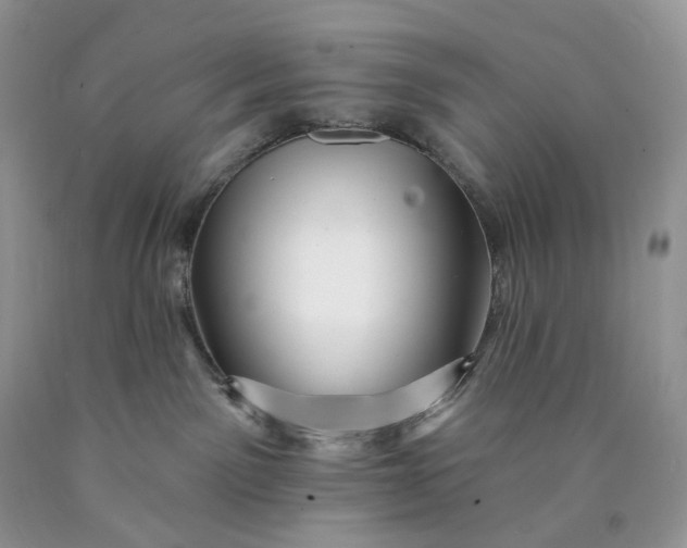 X0000089910141200707201804