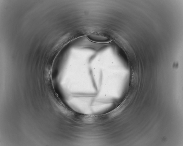 X0000089910142200707201804