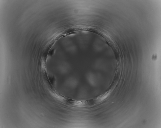 X0000089910143200707201804