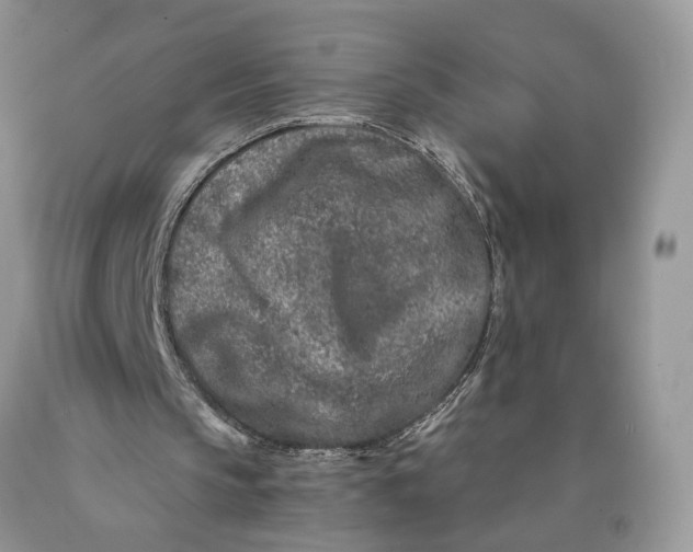 X0000089910145200707201803