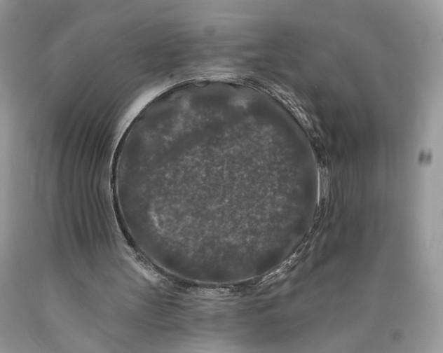 X0000089910147200707201803