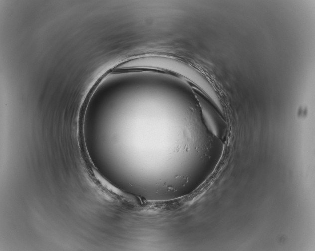 X0000089910148200707201803