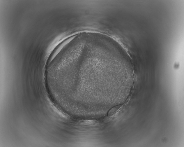 X0000089910151200707201803