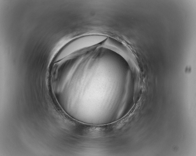 X0000089910152200707201803