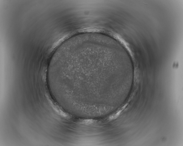 X0000089910153200707201803