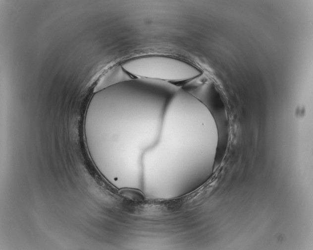 X0000089910154200707201803