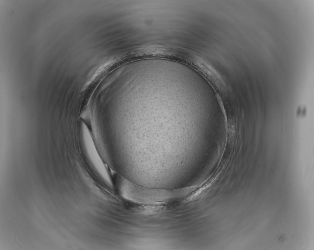 X0000089910158200707201804