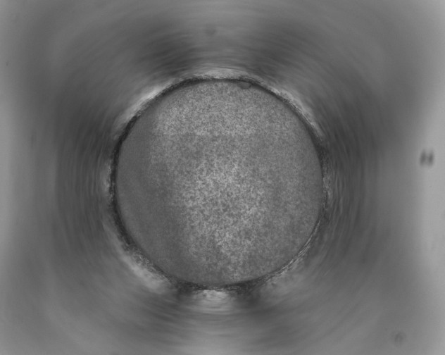 X0000089910159200707201804