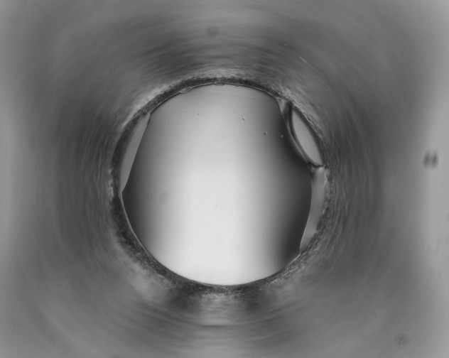 X0000089910160200707201804