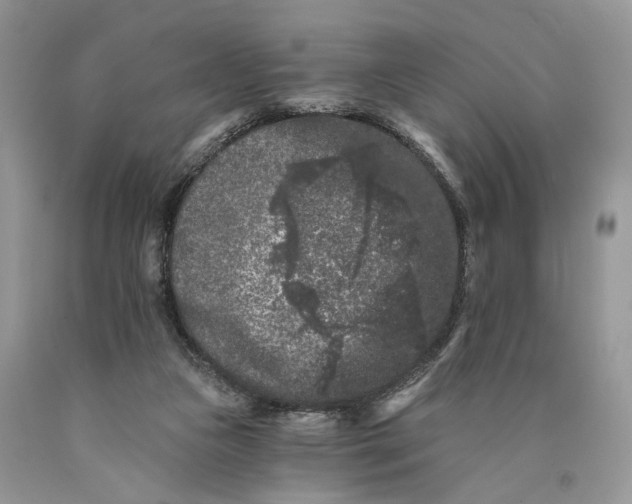 X0000089910161200707201804