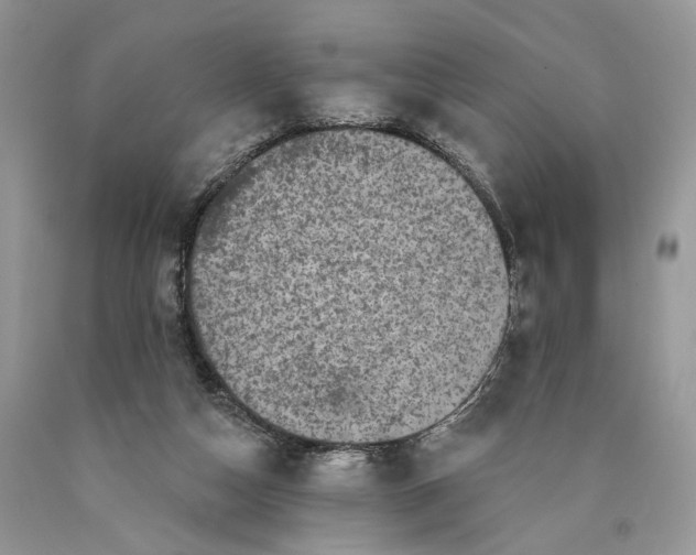 X0000089910162200707201804