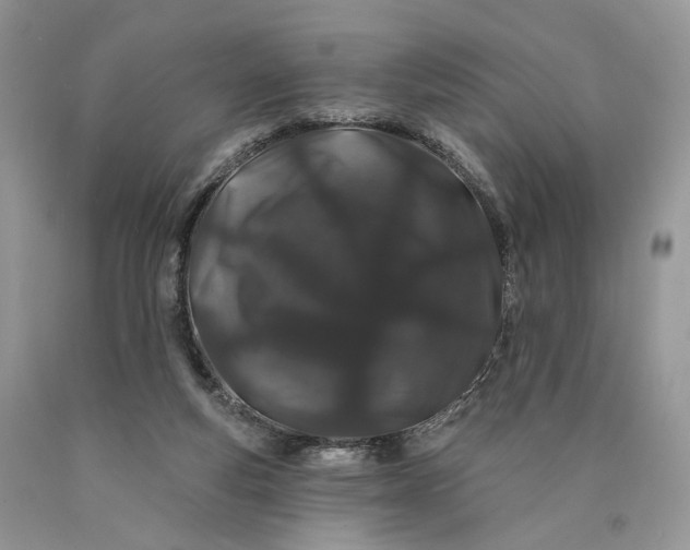 X0000089910163200707201804