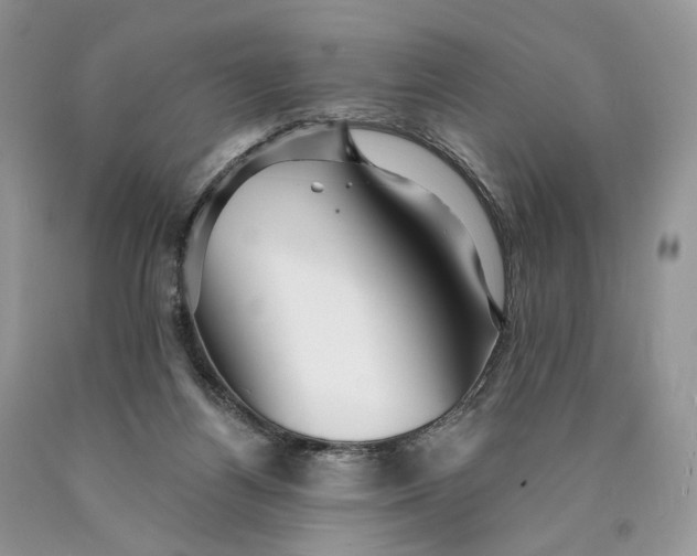 X0000089910164200707201804