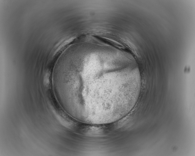 X0000089910166200707201804