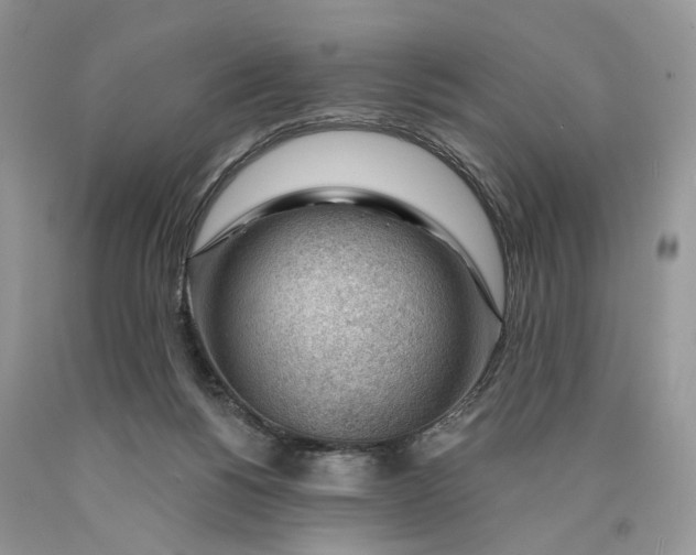 X0000089910168200707201804