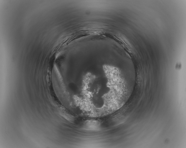 X0000089910169200707201804