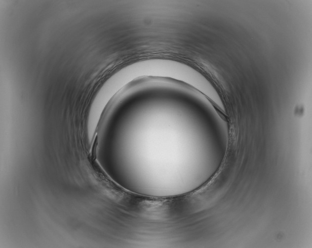 X0000089910170200707201804