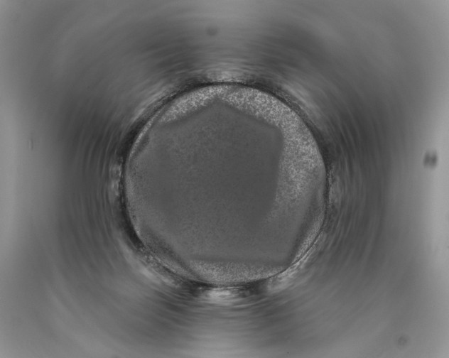 X0000089910171200707201804