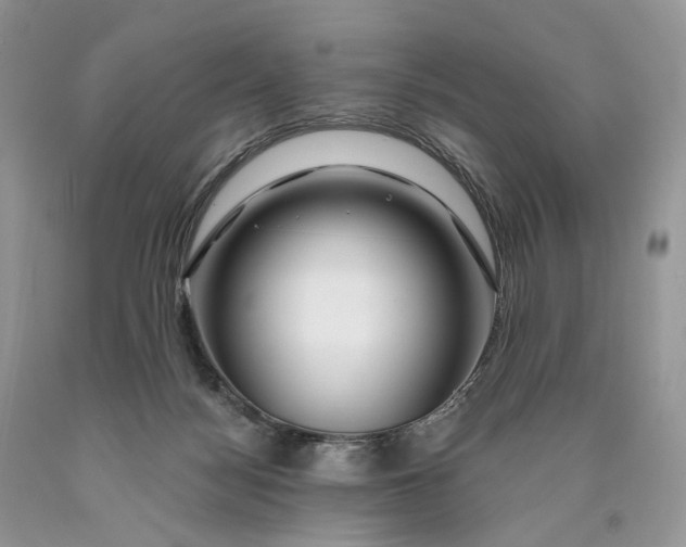 X0000089910172200707201804