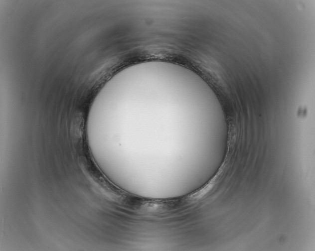 X0000089910174200707201804