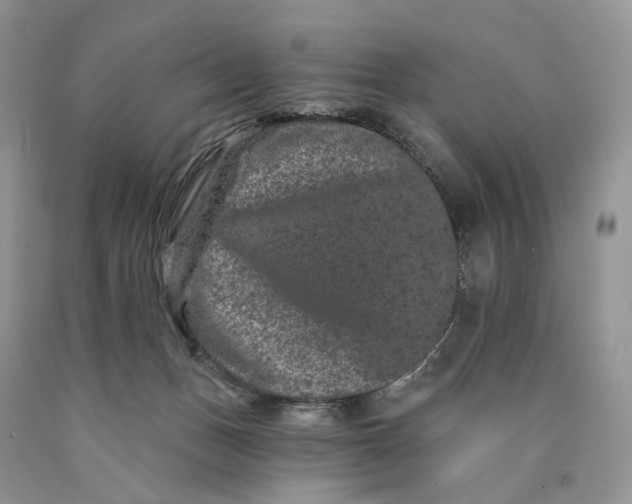 X0000089910175200707201804