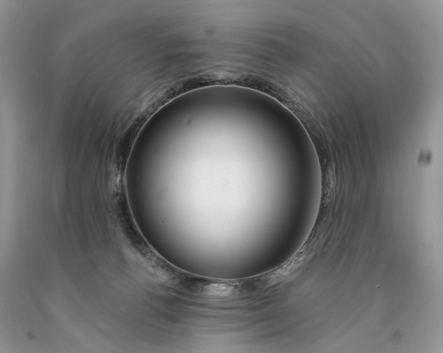 X0000089910176200707201804