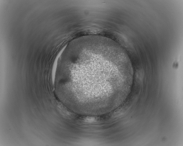 X0000089910177200707201804