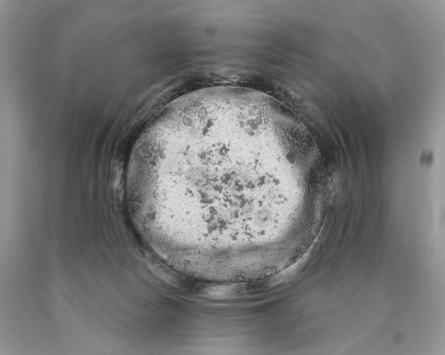 X0000089910178200707201804