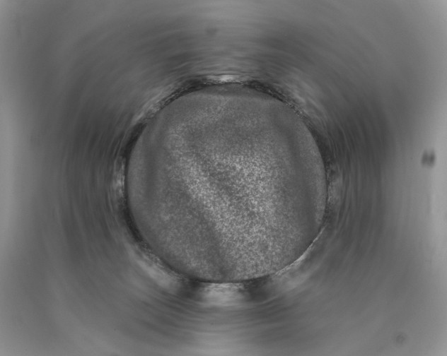 X0000089910179200707201804