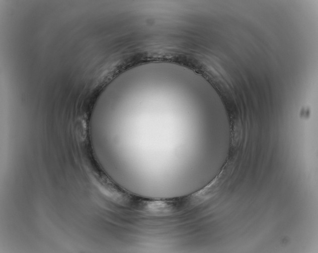 X0000089910183200707201804