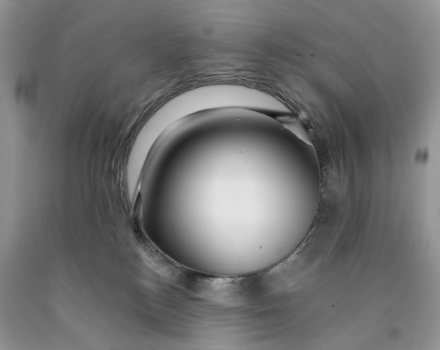 X0000089910184200707201804