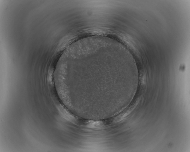 X0000089910185200707201804