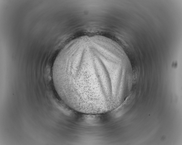 X0000089910187200707201804