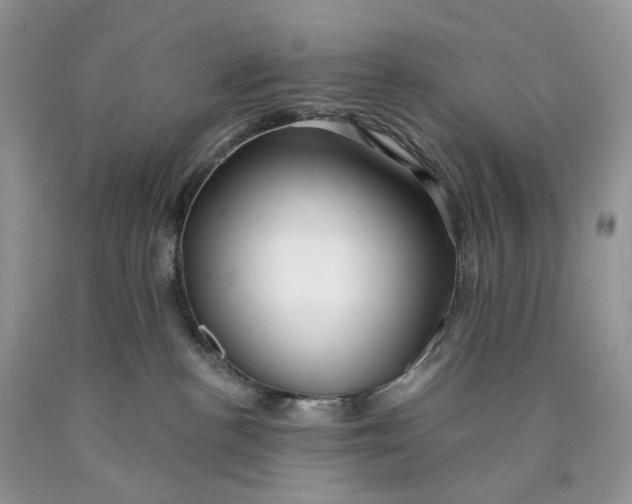 X0000089910188200707201804