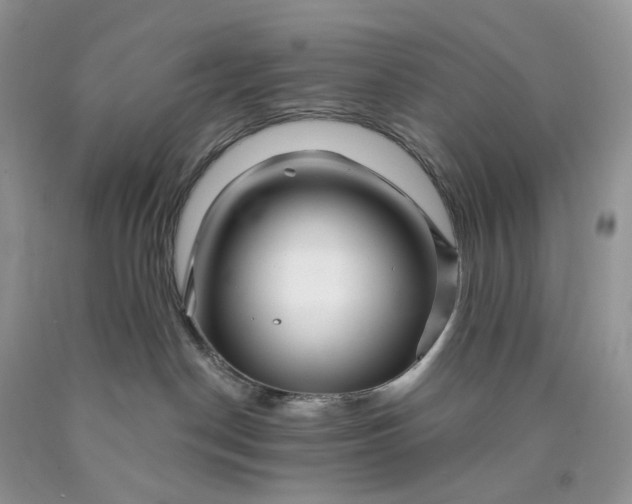 X0000089910190200707201804