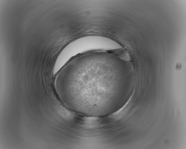 X0000089910192200707201804