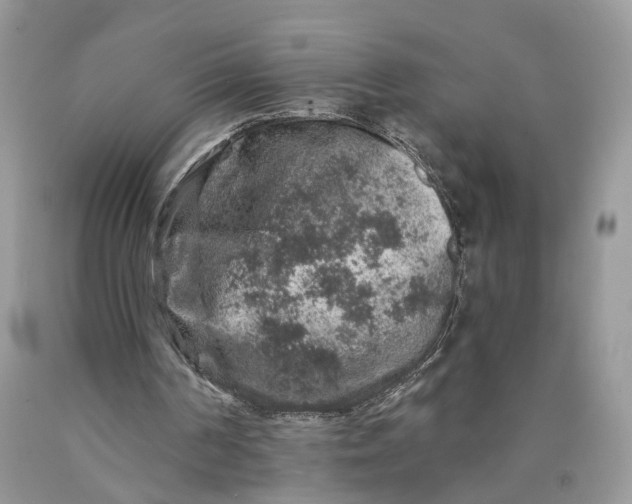 X0000089910194200707201803