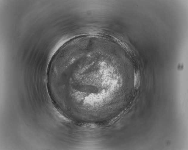 X0000089910195200707201803