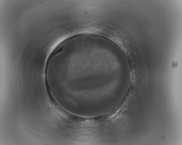 X0000089910196200707201803