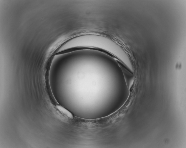 X0000089910197200707201803